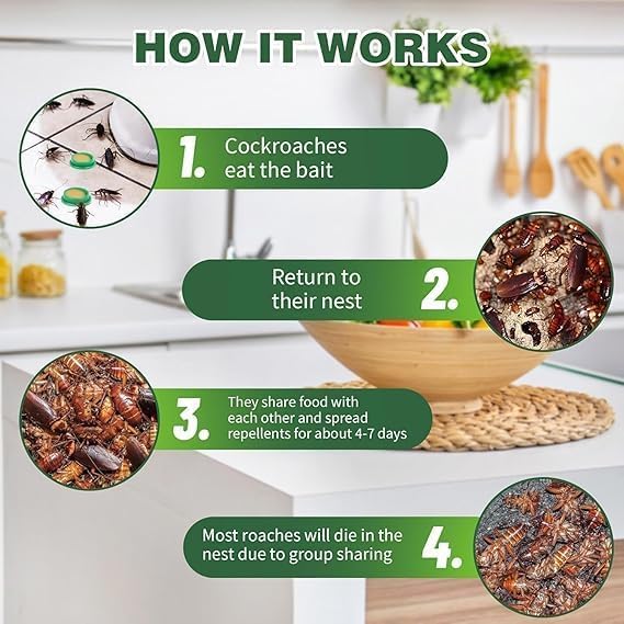 Cockroach Killer Bait