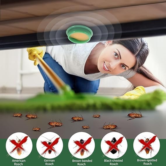 Cockroach Killer Bait